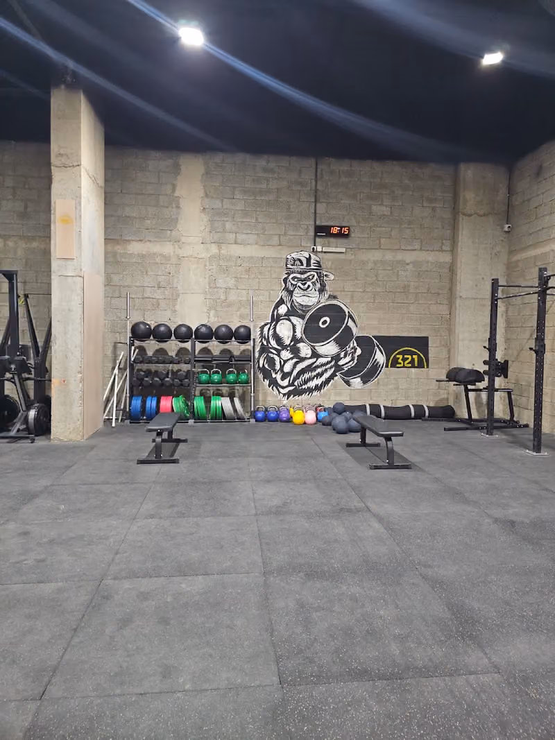 321 GYM