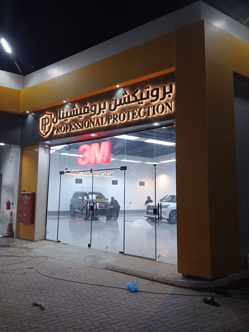 3M PROFESSIONAL PROTECTION