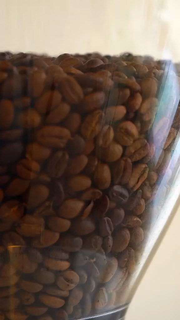 9th degree speciality coffee
