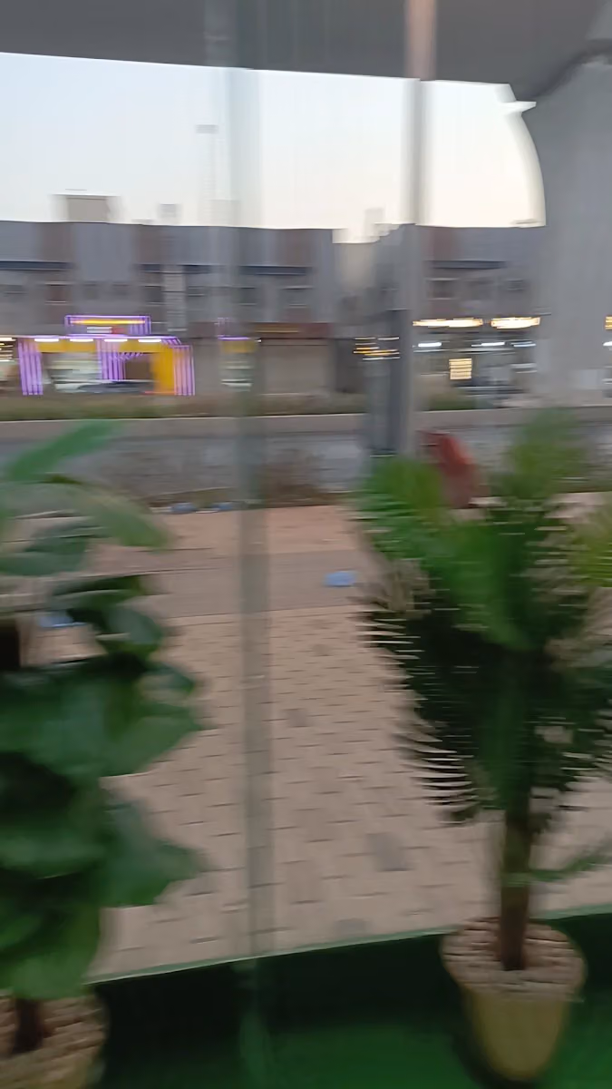 عالم سعادتى