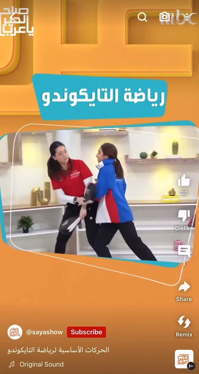 Above & Beyond Saudi Martial Art