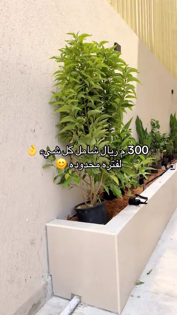ابو كيان لتنسيق الحدائق