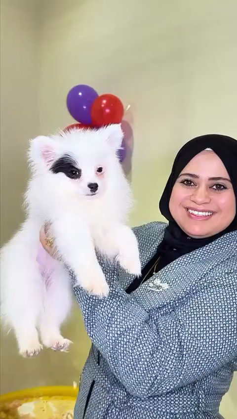 Activities Corner - ركن الحركة للترفية