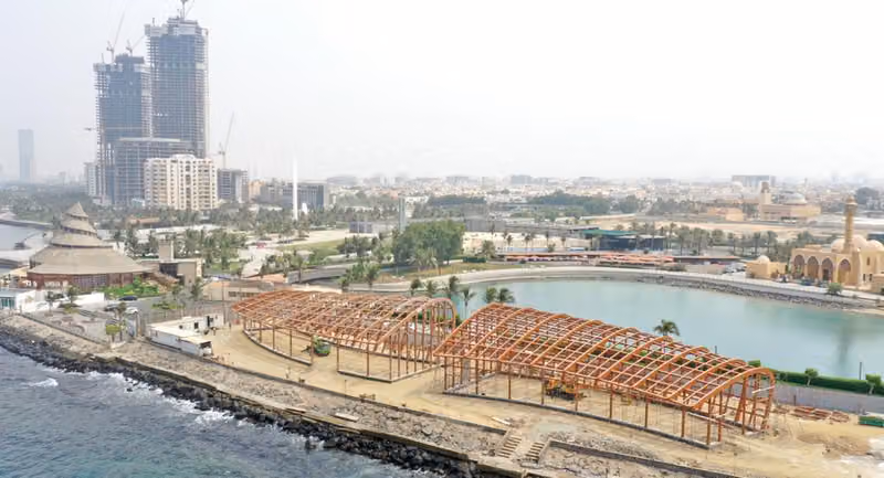 شركة المحترفون المتطورة للتجارة والمقاولات المحدودة