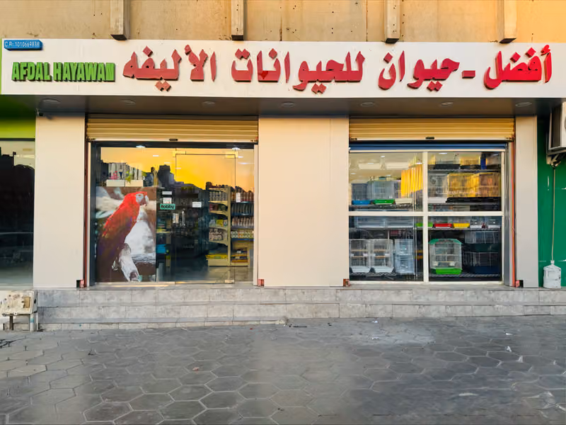 أفضل الحيوانات الأليفة Best Pet