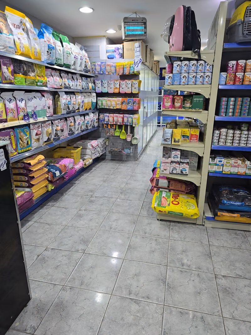 أفضل الحيوانات الأليفة Best Pet
