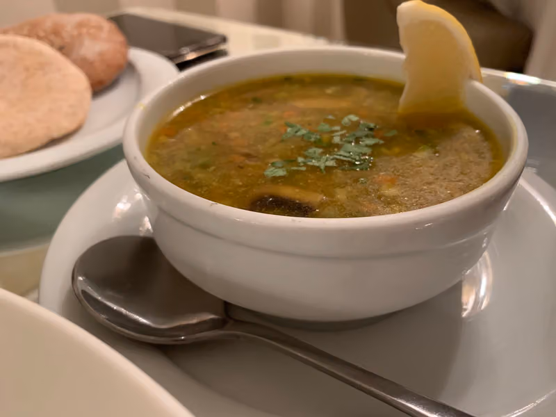 افوكادو للحفلات الخارجية