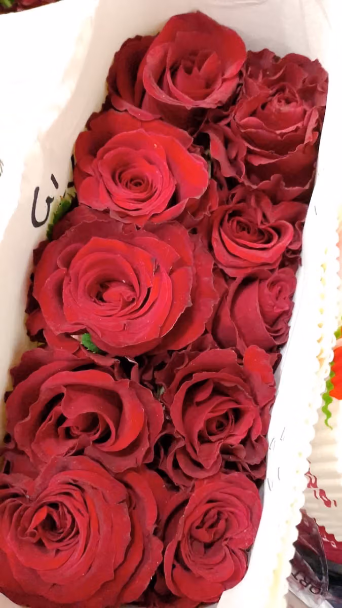 Aisha Rose 🌹 ورد عائشة