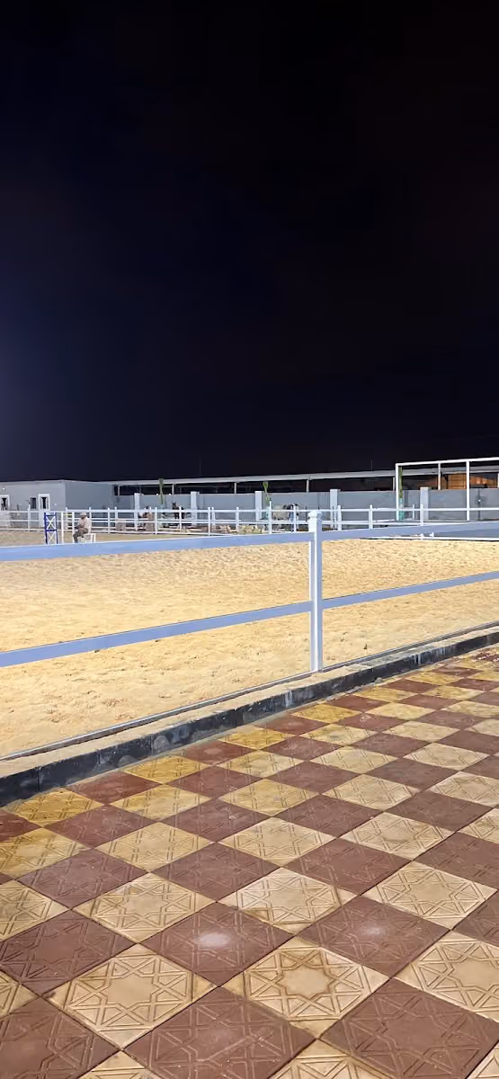 أكادمية شواهد الرياض لتدريب الفروسية والقفز