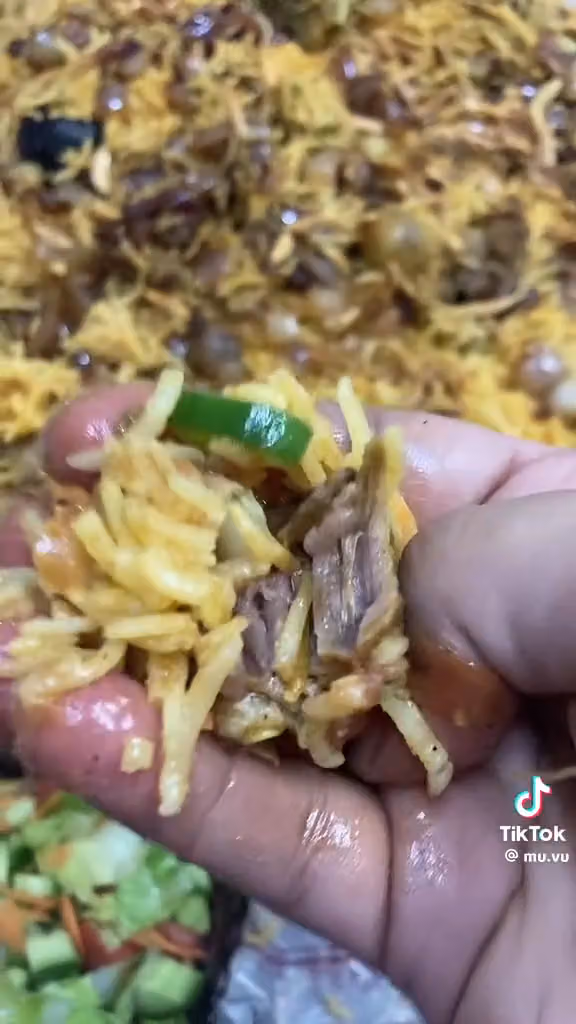اكاديمية الشنكل