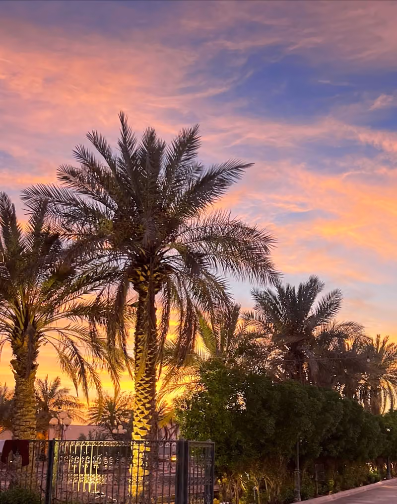 Al Abdul Farm