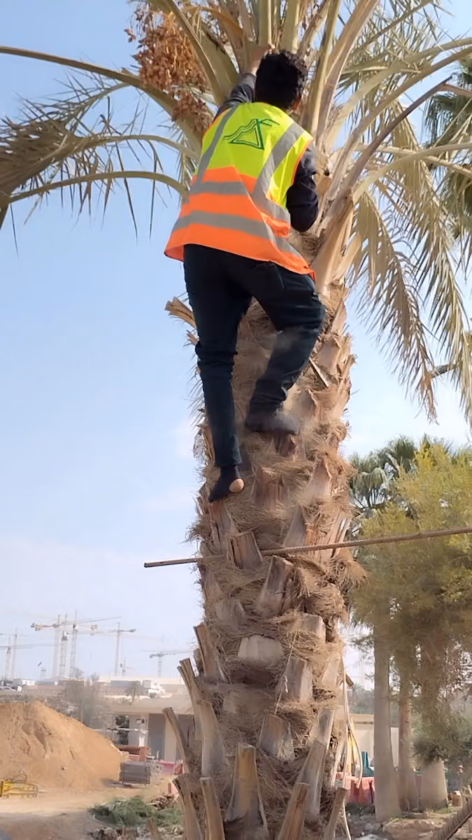 Al Bawani HHM Site