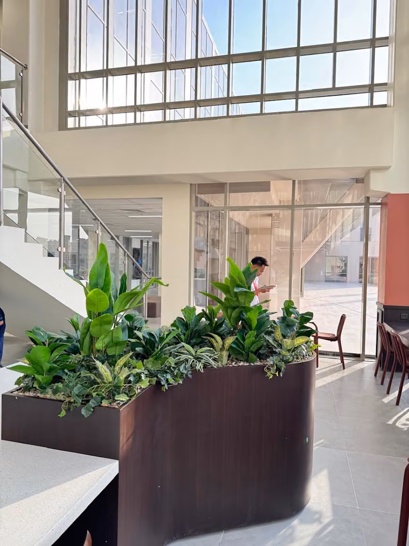 Al Jazira Landscaping