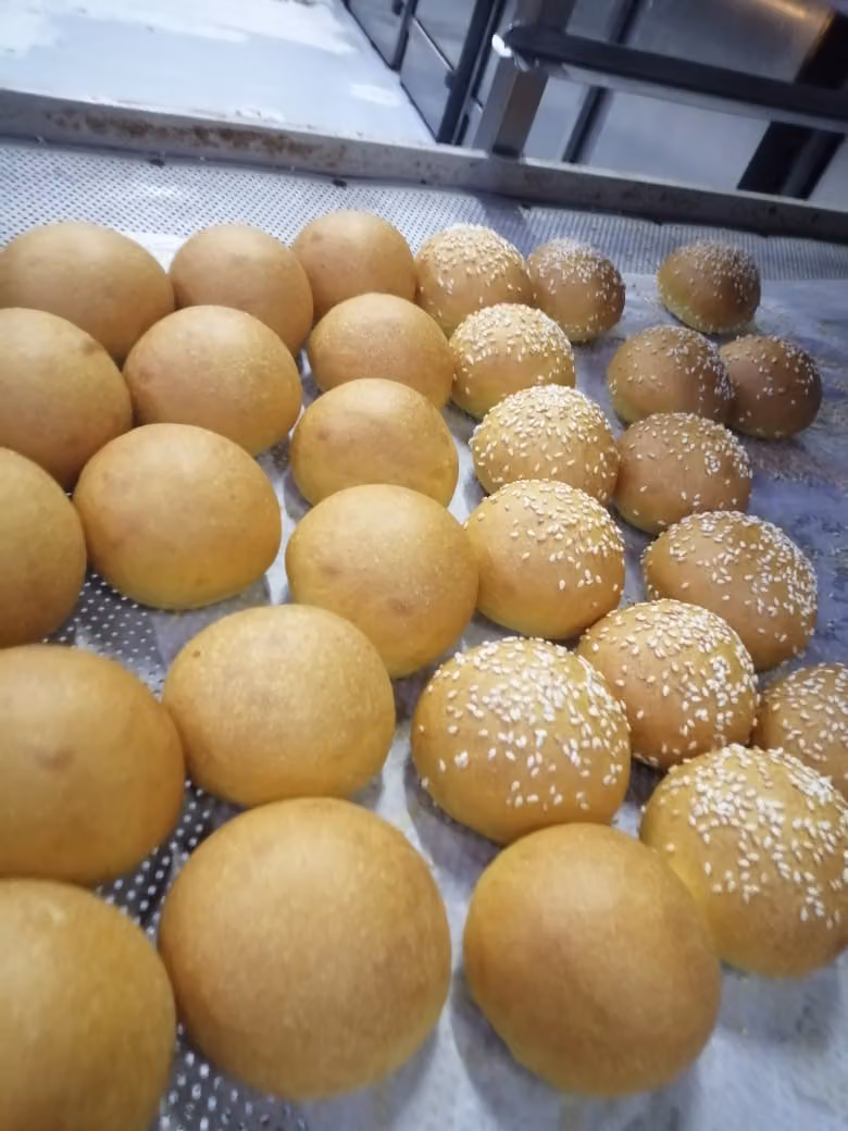 Al Raed Arabi Food Production com