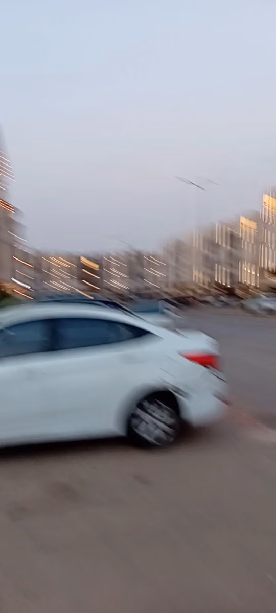 AL WEDAD INDIAN RESTAURANT