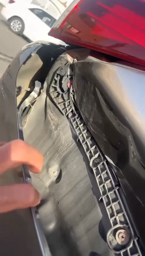 الأخطبوط الذهبي فرع الرمال