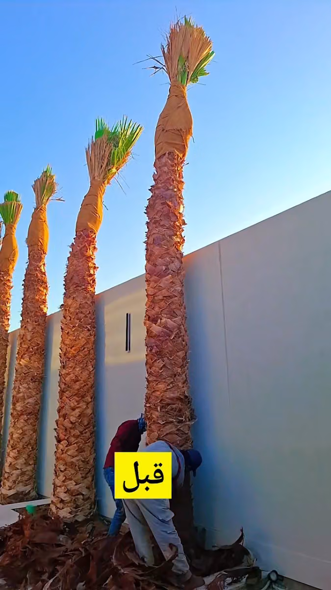 العليان للمطابخ