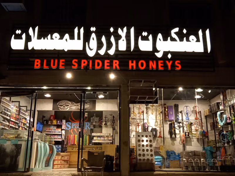 العنكبوت الازرق للمعسلات