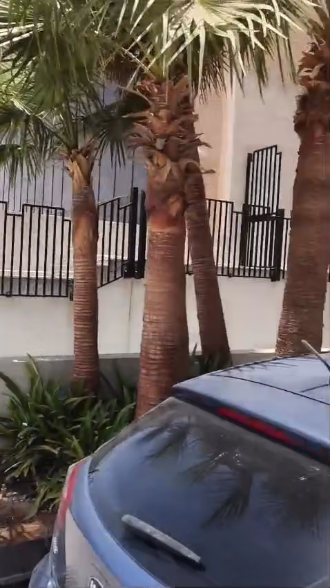 الأول للديكور