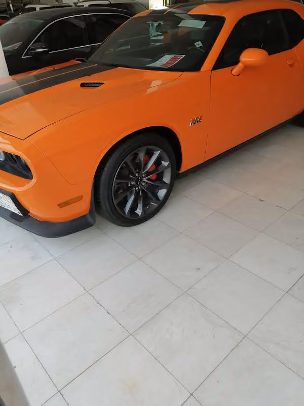 البحر الاحمر للسيارات