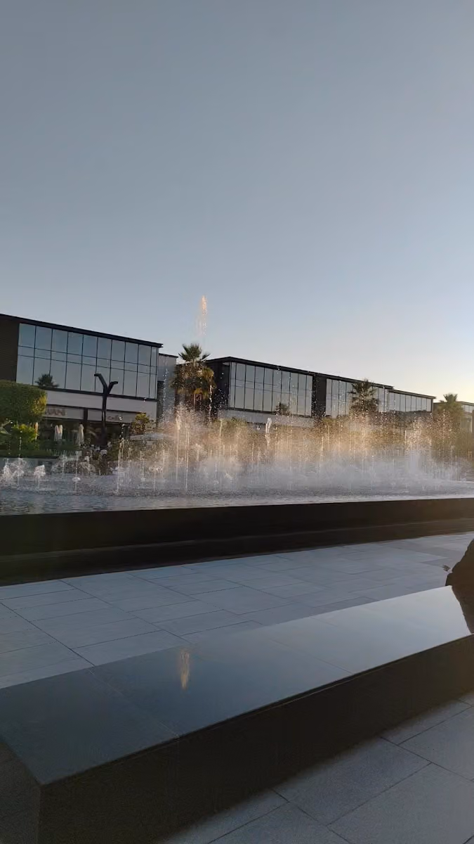 البترول الذهبي