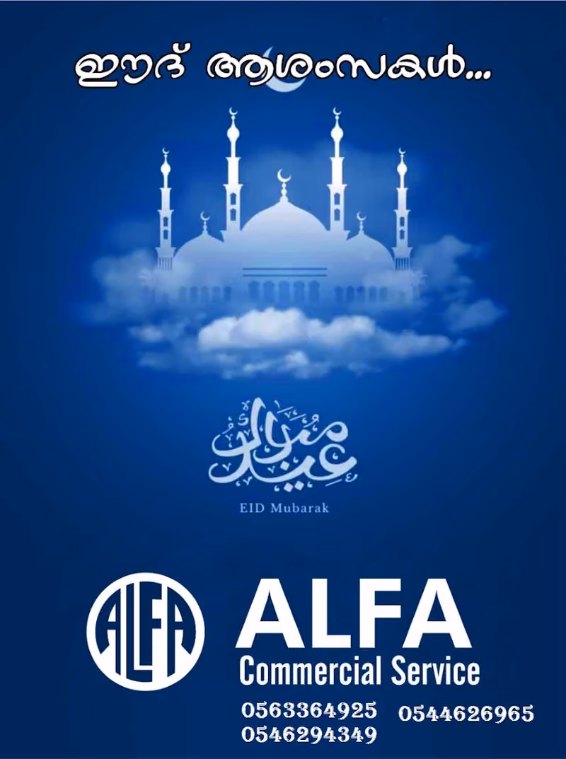 ALFA COMMERCIAL SERVICE