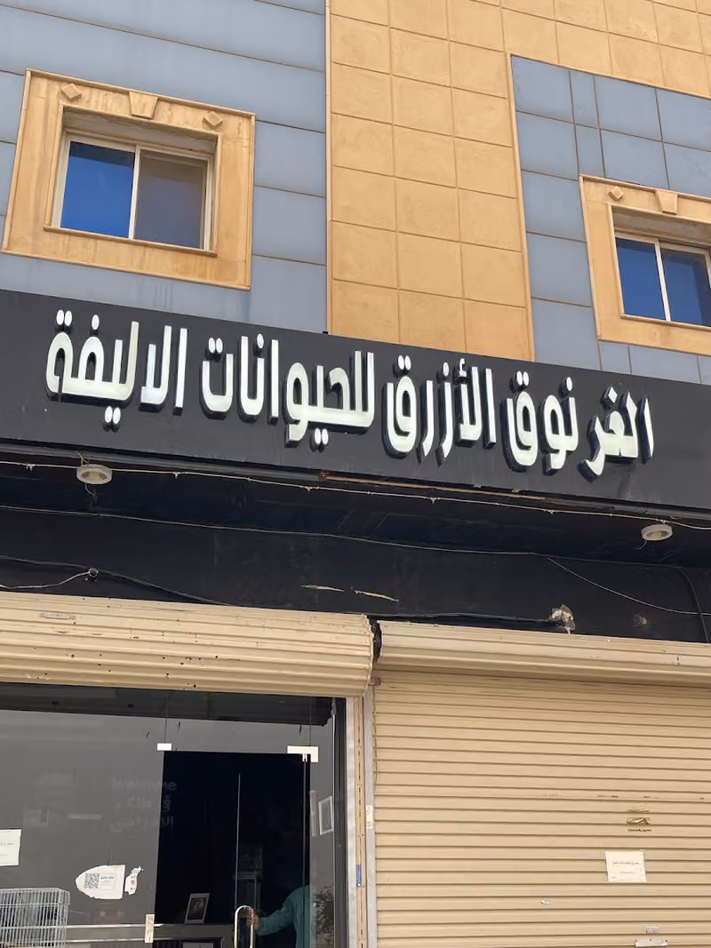 الغرنوق الازرق للحيوانات الاليفة
