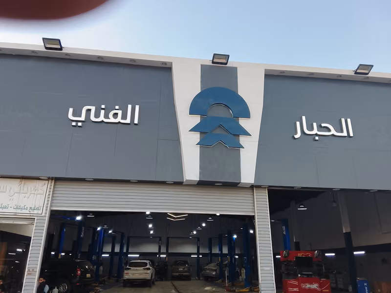 الحبار الفني