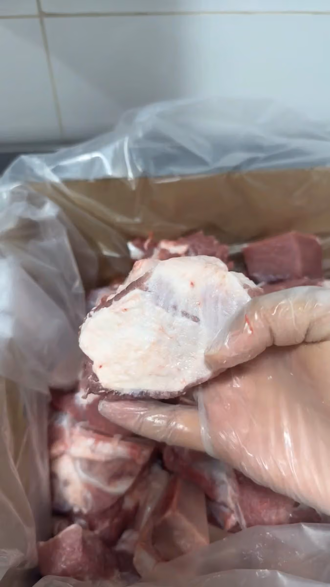 الحمام الذهبي مقطع وجاهز