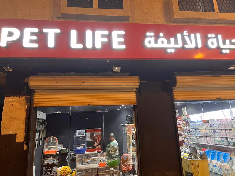 الحياة الاليفة