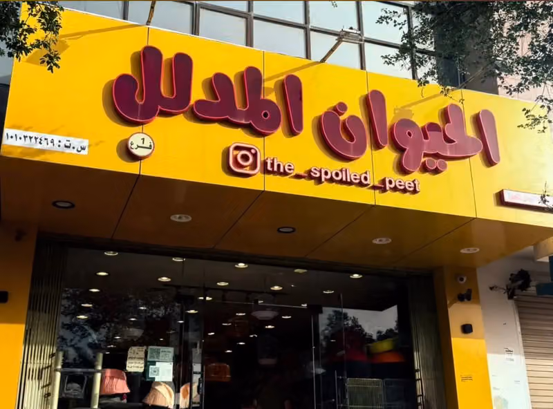 الحيوان المدلل 1