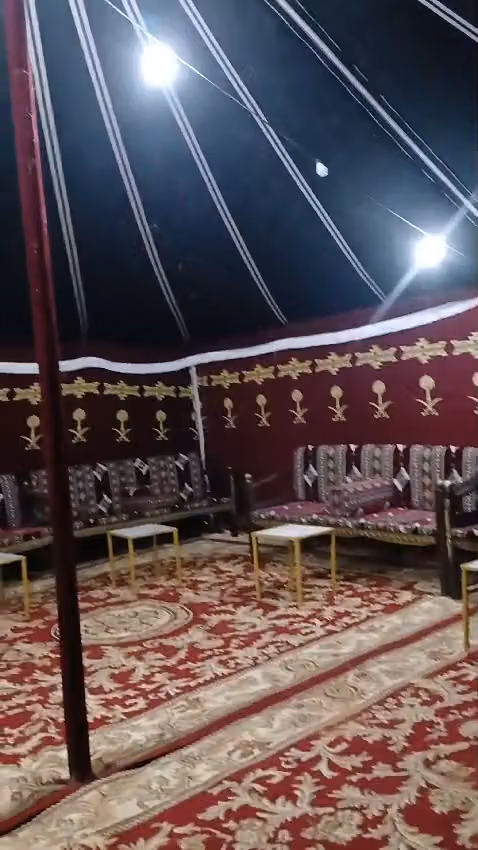 الخيول الانيقه للحفلات