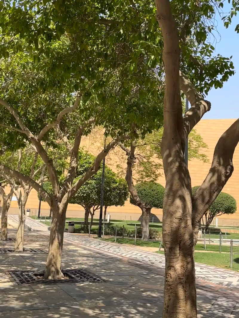 المتحف الوطني السعودي
