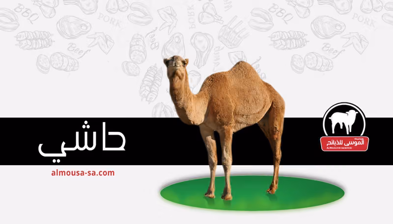 الموسى للذبائح