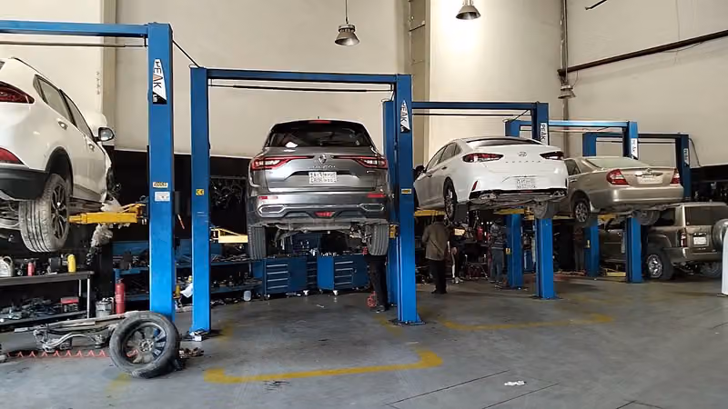 القحطاني عالم العكوس