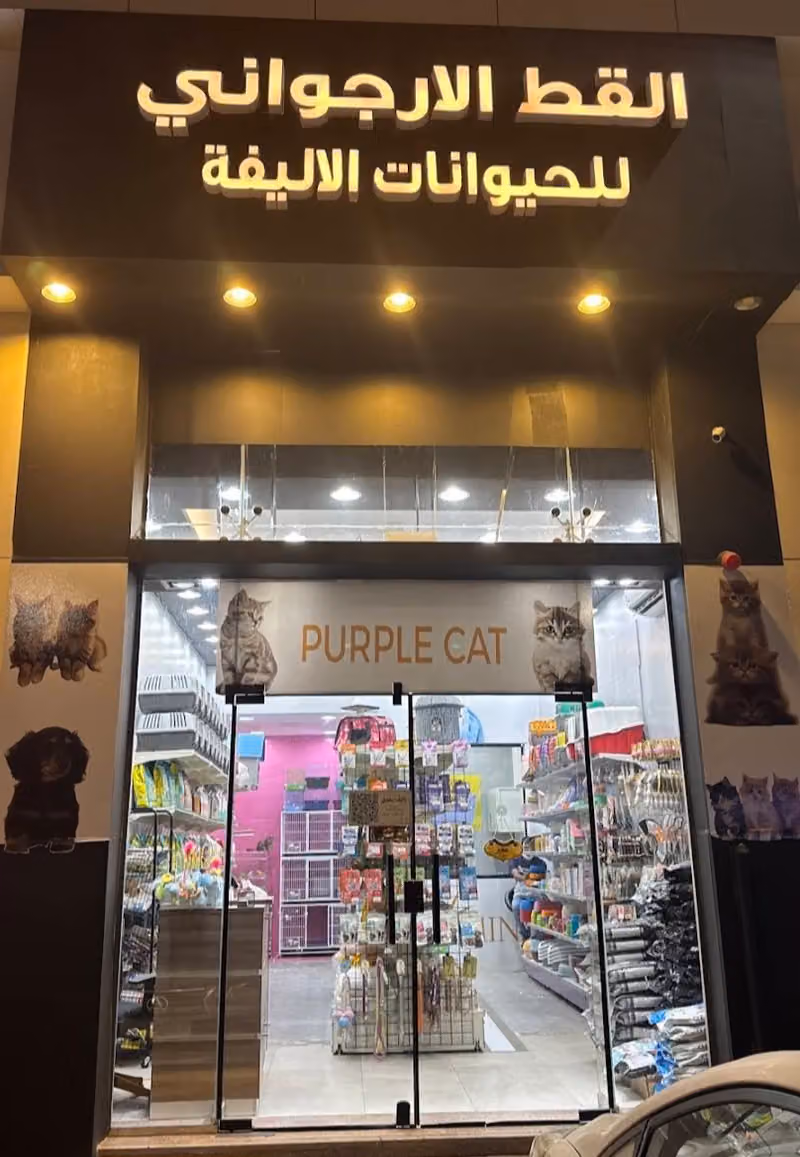 القط الارجواني للحيوانات الاليفة