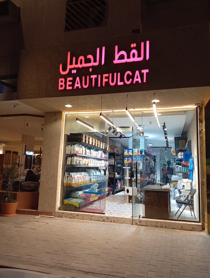 القط الجميل للحيوانات الأليفة