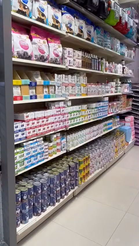 القط المدلل 2