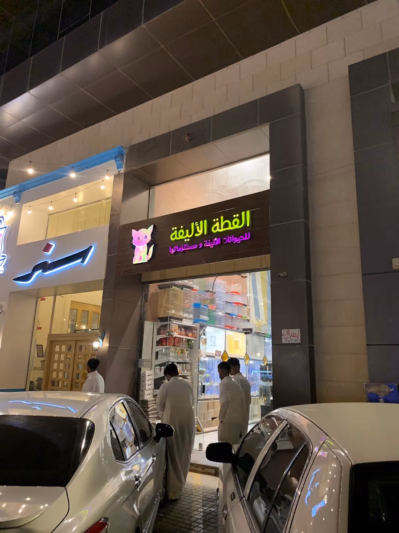 القطة الاليفة - حديقة السعادة