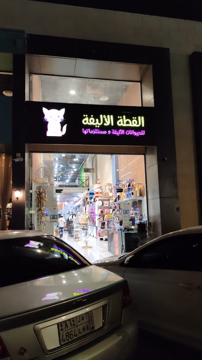 القطة الاليفة - حديقة السعادة