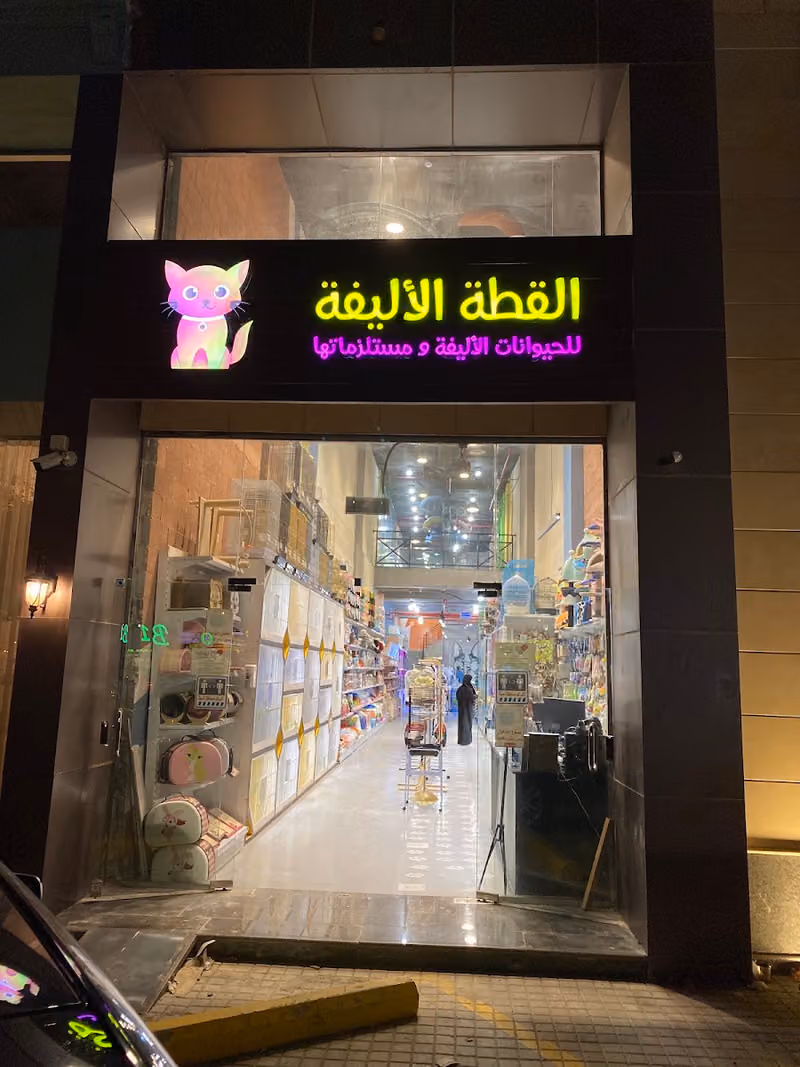 القطة الاليفة - حديقة السعادة