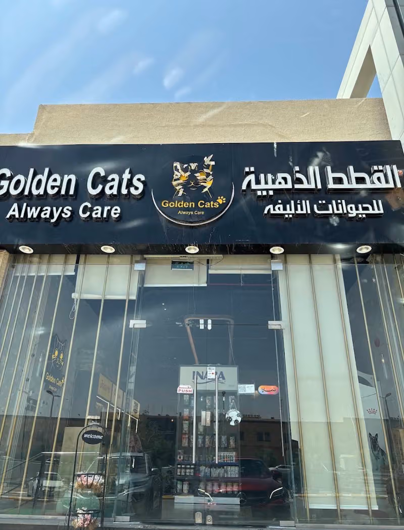 القطط الذهبية