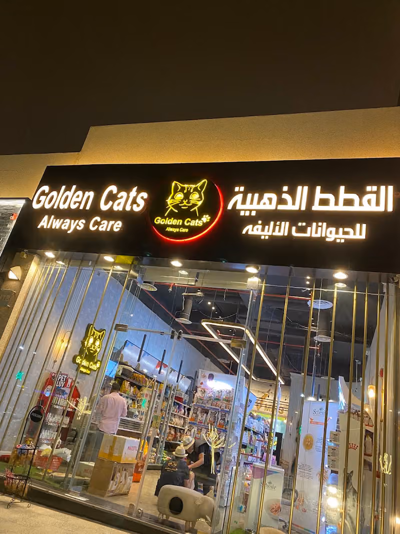 القطط الذهبية