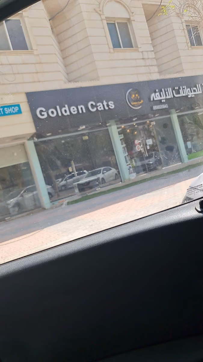 القطط الذهبية