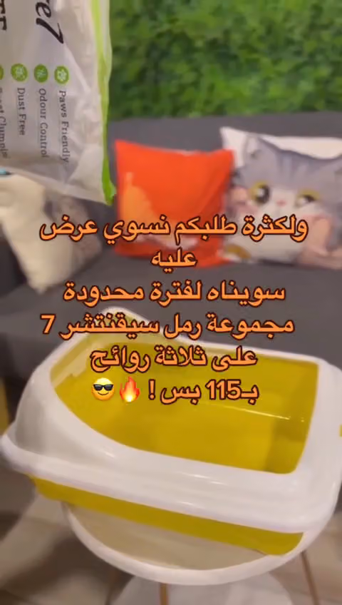 القطط الذهبية