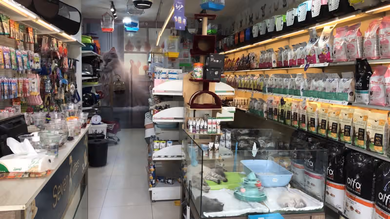القطط السبعة لبيع الحيوانات الاليفة ومستلزماتها