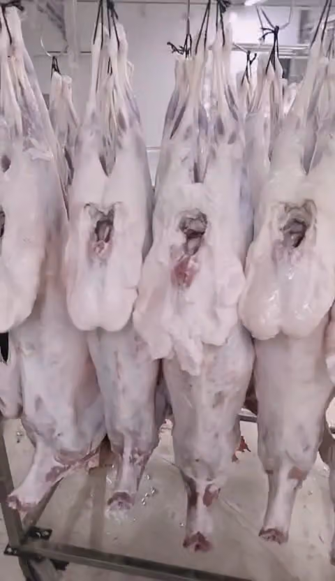 الشهراني للحوم والذبائح
