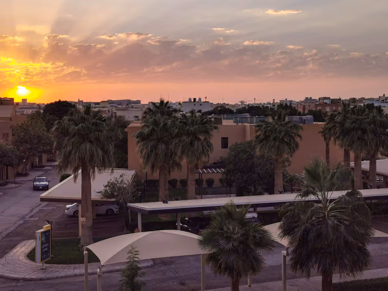 الشركة العربية للإستثمار