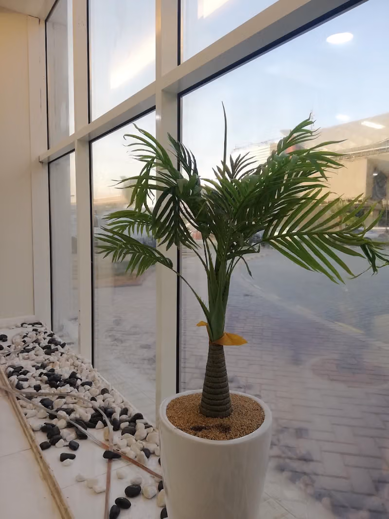 الشركة العربية للتنمية والاستثمار