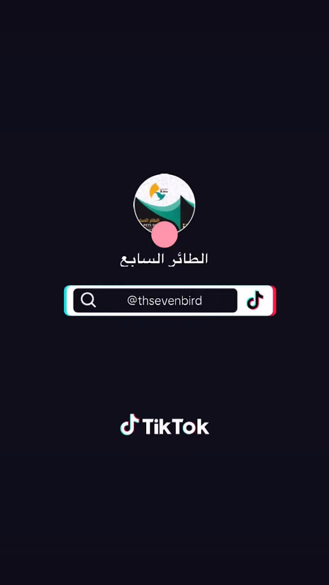 الطائر السابع - فرع المحمدية